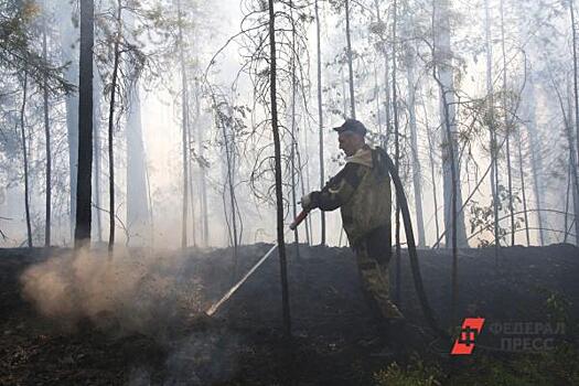 За сколько в среднем тушат лесной пожар в Ленинградской области