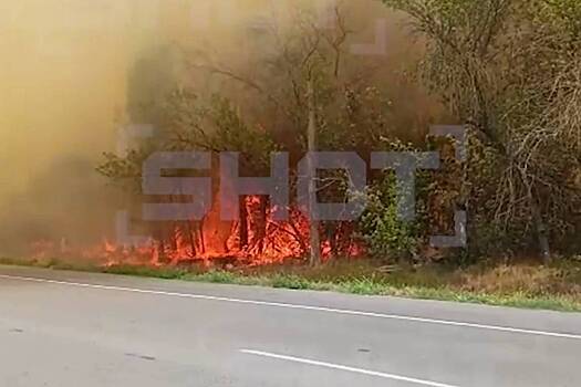 Мощный пожар перекрыл проезд по российской трассе