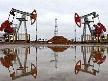 Новак назвал условия для балансировки на рынке нефти