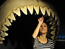 В Беларуси выросло число "стоматологических туристов"