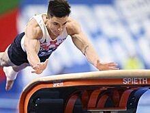 Алексей Логвиненко: «Ростовские спортсмены – на медальных пьедесталах Игр БРИКС!»