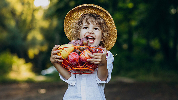 Сладкая жизнь без сахара: чем заменить конфеты, чтобы ребёнок был доволен