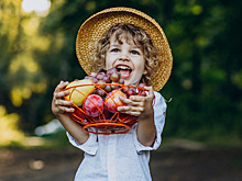 Сладкая жизнь без сахара: чем заменить конфеты, чтобы ребёнок был доволен