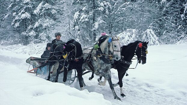 Сколько сейчас живет в мире потомков Рюрика