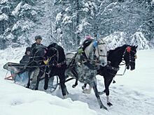 Сколько сейчас живет в мире потомков Рюрика