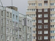ФОКов, парков, скверов — нет, сплошная промзона: депутат горсовета — о новых микрорайонах в конце Невского