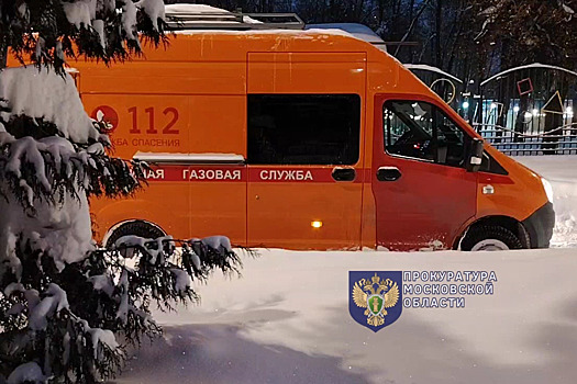 Установлен предполагаемый виновник массового отравления газом в Видном