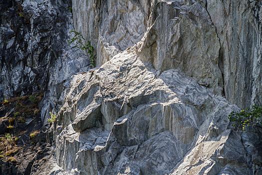 Ключ к жизни из космоса: в метеорите впервые нашли минерал аммония