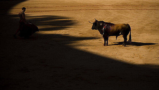 Тысячи человек провели в Мадриде акцию против жестокого обращения с быками