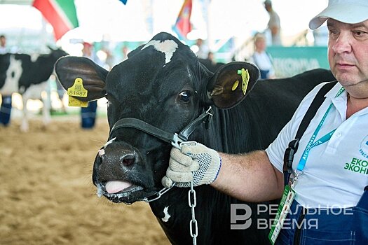 Татарстан вошел в топ-5 лидеров России по продукции ЛПХ