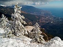 Крым – лидер направлений для "зимовки" в России