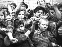 Освенцим: Судьбы освобожденных