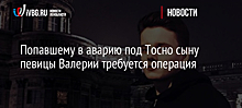 Попавшему в аварию под Тосно сыну певицы Валерии требуется операция