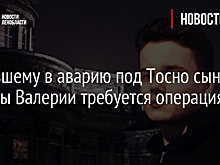 Попавшему в аварию под Тосно сыну певицы Валерии требуется операция