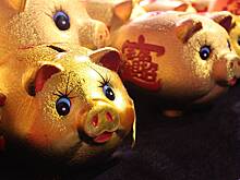 Год Свиньи в восточном календаре: описание в китайском гороскопе, годы рождения, что говорит о характере и темпераменте человека