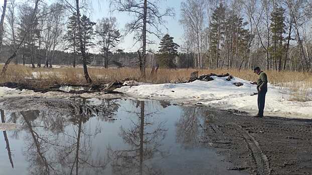 Проверка прокуратуры и Минприроды Новосибирской области не выявила фактов загрязнения «Караканского бора» отходами из психоневрологического интерната в Завьялово