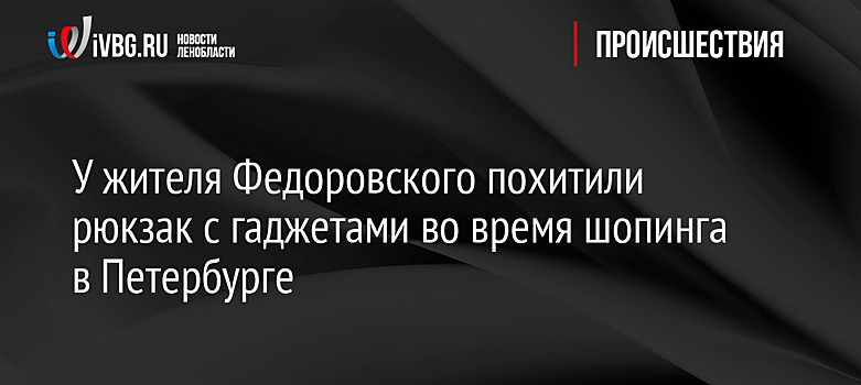 У жителя Федоровского похитили рюкзак с гаджетами во время шопинга в Петербурге