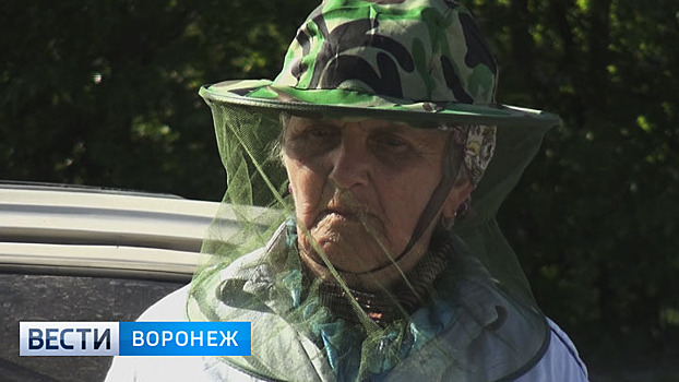 В Придонье нашествие комаров тянет на сюжет для фильма ужасов