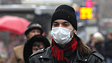 В Севастополе заявили о регистрации случаев свиного и птичьего гриппа