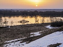 Биолог Воробьев предупредил об опасностях паводка для урожая в столичном регионе
