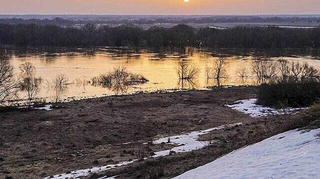 Биолог Воробьев предупредил об опасностях паводка для урожая в столичном регионе