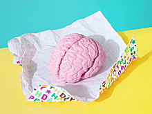 Можно ли «прокачать» мозг с помощью лекарств