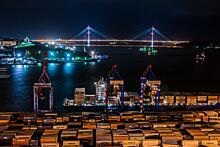Владивостокский морской торговый порт присоединяется к платформе TradeLens на основе блокчейна