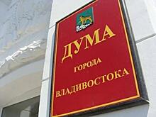 Владивостокские депутаты отчитались за прошлогодние доходы