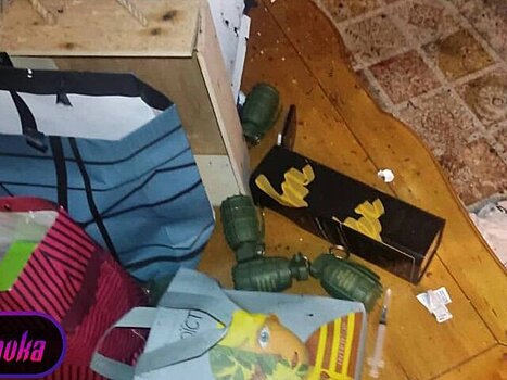 Против офицера, подарившего гранаты помощнику Залужного, возбудили дело