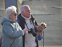 Юрист раскритиковал повышение пенсий на 4,8 %