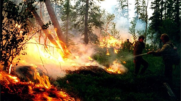 Лесные пожары в РФ: огнем охвачено 20 тысяч гектаров