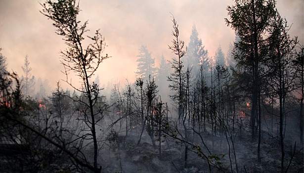 Более 300 населенных пунктов Якутии подвержены угрозе от лесных пожаров