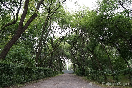 Прокуратура выступила против поборов в дендрариях Екатеринбурга