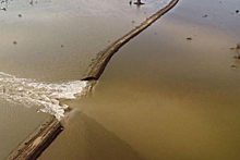 Дамбу в Орске мог «добить» мощный сброс воды, считает эксперт