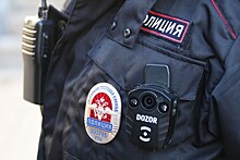 МВД объявило взыскания за одинаковые жетоны полицейских на пикетах в Москве