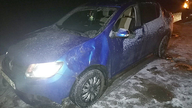 Мужчина не справился с управлением автомобиля и опрокинулся в кювет на вологодской трассе