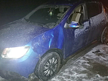 Мужчина не справился с управлением автомобиля и опрокинулся в кювет на вологодской трассе
