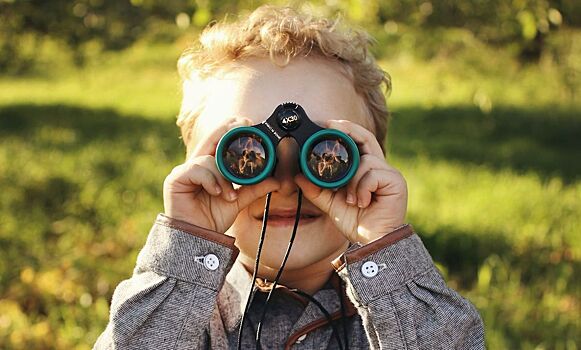 Как стать орнитологом