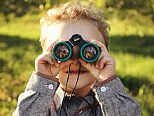 Как стать орнитологом