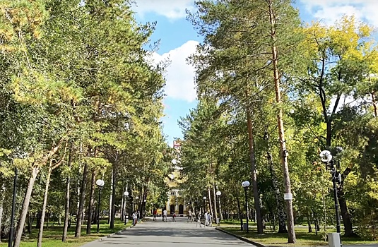 Как Новосибирск стал одним из самых зелёных мегаполисов
