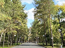 Как Новосибирск стал одним из самых зелёных мегаполисов