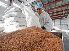 Названы четыре замены гречке