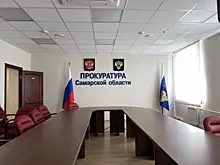 В Самарской области будут судить водителя, насмерть сбившего девочку в ее день рождения