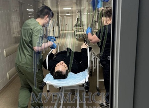 Мурманский губернатор Чибис пришел в себя после операции