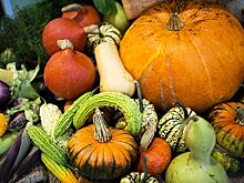 Северная Осетия обеспечена собственными овощами лишь на 35%