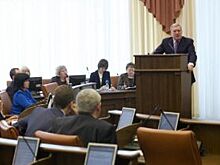 Депутатам ЗС Красноярского края простили ошибки в декларациях