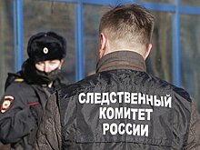 СКР возбудил дело из-за высадки из автобуса двух маленьких детей в сильный мороз