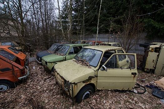 Несколько десятков старых автомобилей ржавеют где-то под Варшавой (есть советские!)