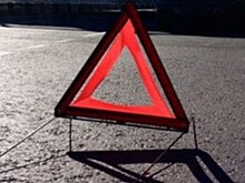 Активисты движения «СтопХам» вышли на «дежурство» в пригороде Владивостока