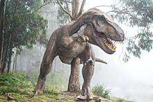 Раскрыт секрет гигантизма хищных динозавров